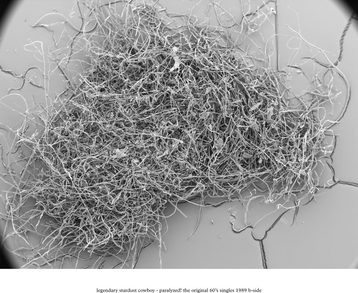 dieschwarzarbeit___stylusdust_file_26.jpg
