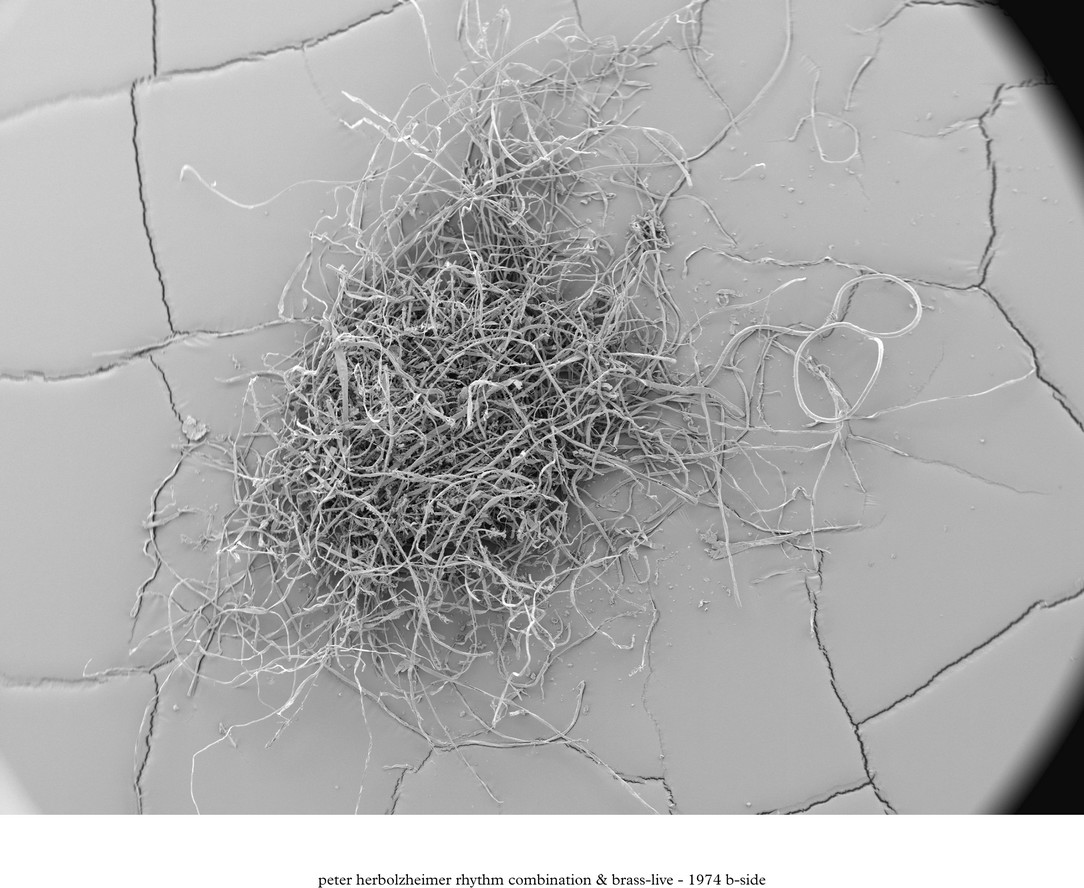 dieschwarzarbeit___stylusdust_file_39.jpg