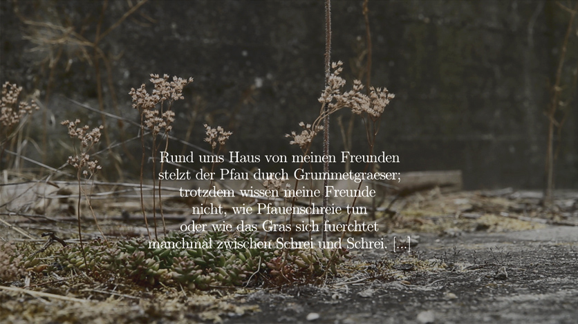 Das Verschwinden ist laut